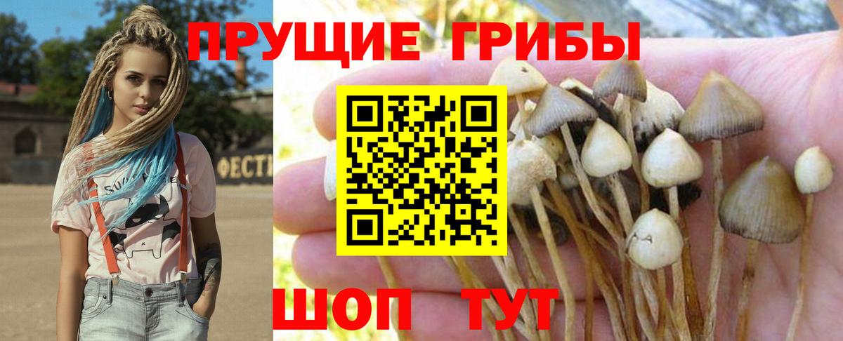 Галлюциногенные грибы Cubensis Мелеуз