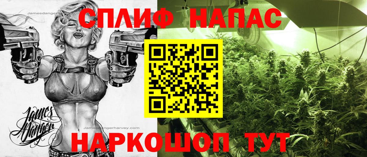 Бошки Шишки план Мелеуз